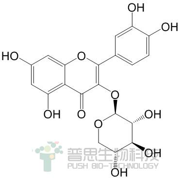 Quercetin 3-O-β-D-xylopyranoside