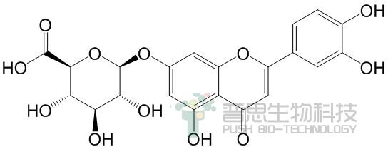 Luteolin 7-O-β-D-glucuronide