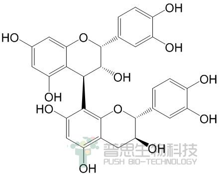 Procyanidin B1