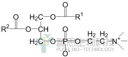 Egg yolk phosphatidylcholines