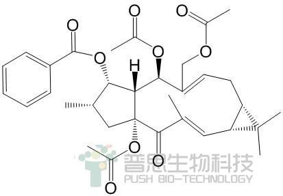 Euphorbia factor L7b