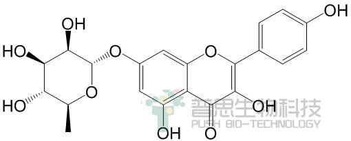 Kaempferol-7-O-α-L-rhamnoside