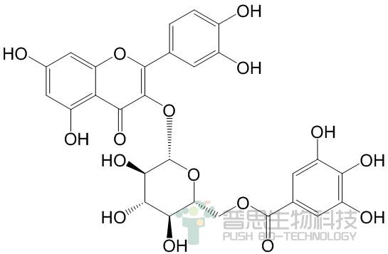 Quercetin 3-O-(6’’-galloyl)-β-D-glucopyranoside