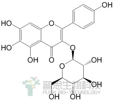6-Hydroxykaempferol 3-O-β-D-glucoside