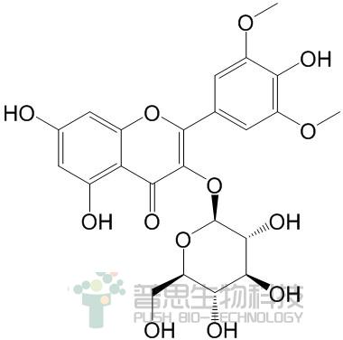 Syringetin 3-O-β-D-glucoside