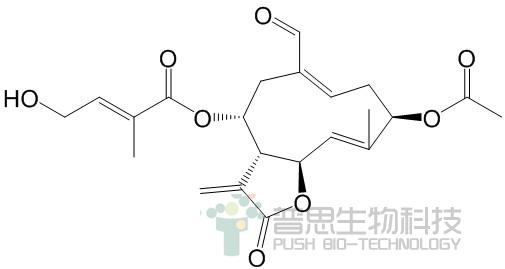 Eupalinolide O