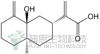 5α-Hydroxycostic acid
