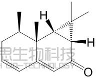 Kanshone H