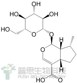 8-Epideoxyloganic acid