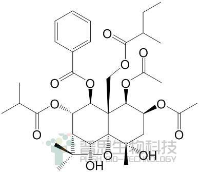 Angulatin E