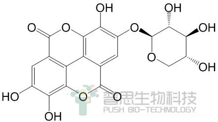 Ellagic acid 4-O-β-D-xylopyranoside