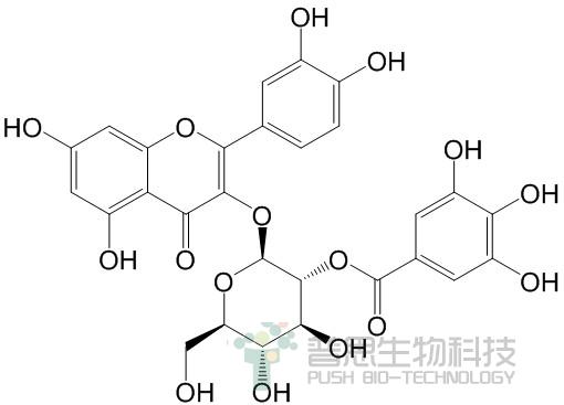 Quercetin-3-O-(2''-O-galloyl)-β-D-glucopyranoside