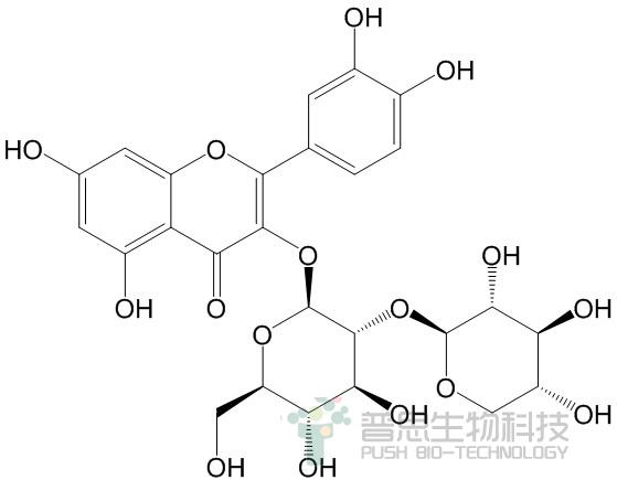 Quercetin 3-O-sambubioside