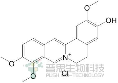 Jatrorrhizine chloride