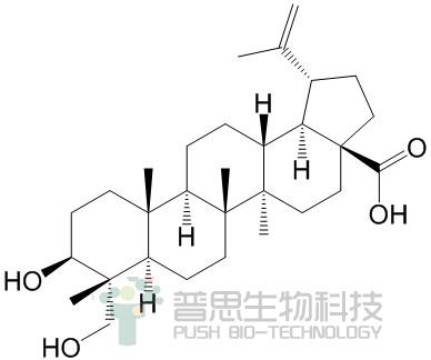 23-Hydroxybetulinic Acid