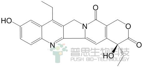 7乙基10羟基喜树碱7ethyl10hydroxycamptothecin