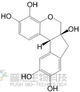 Hematoxylin