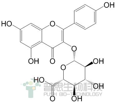 Kaempferol3-O-β-D-glucuronide