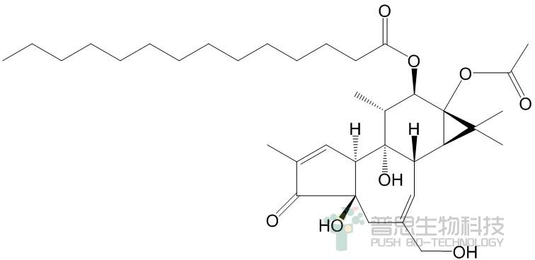 Phorbol 12-myristate 13-acetate