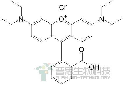 罗丹明b(rhodamine b)