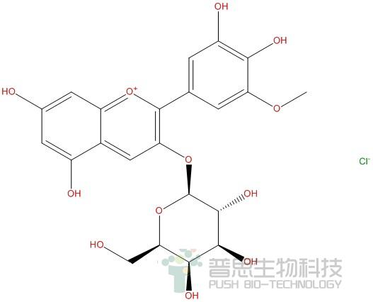 Petunidin-3-O-galactoside