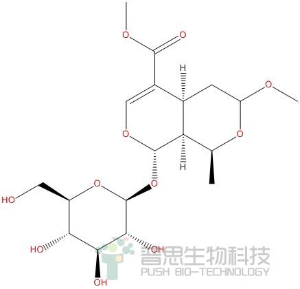 7-O-Methylmorroniside